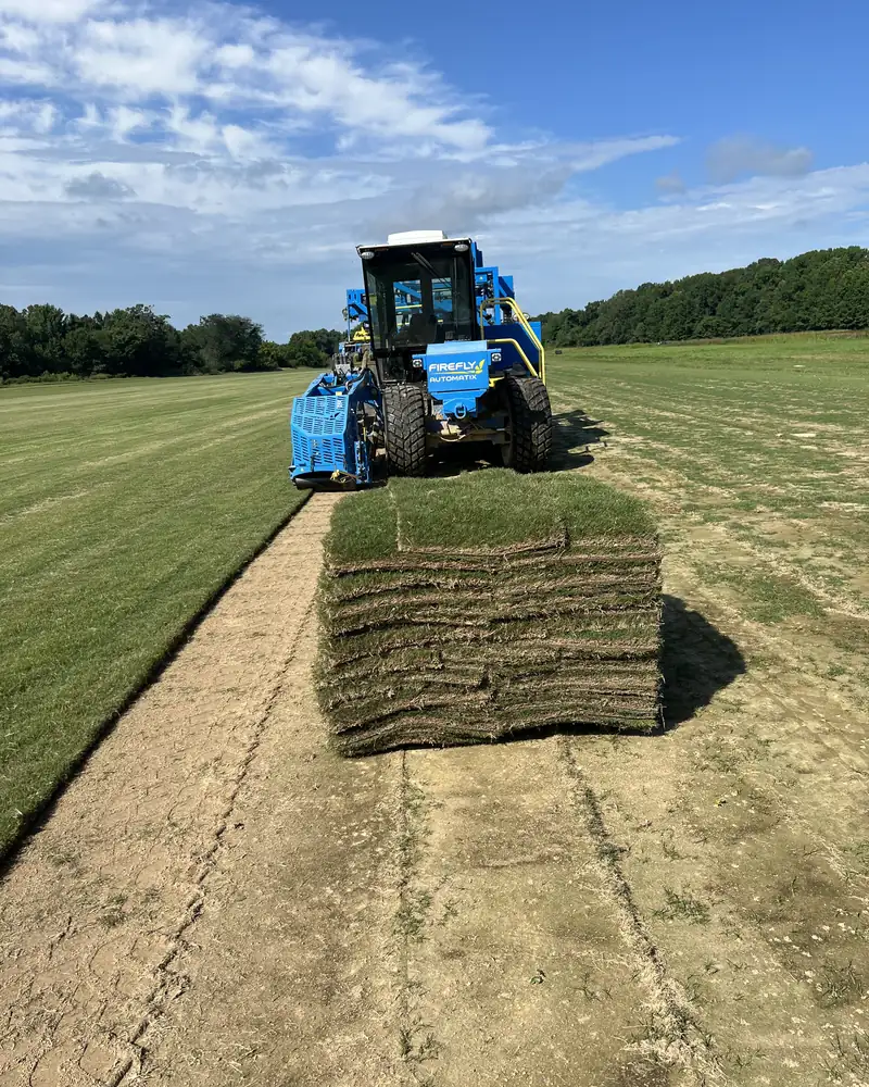 FireFly harvester cutting a fresh pallet of Tifway 419 Bermuda at Paramount Sod Farm, Hernando MS
