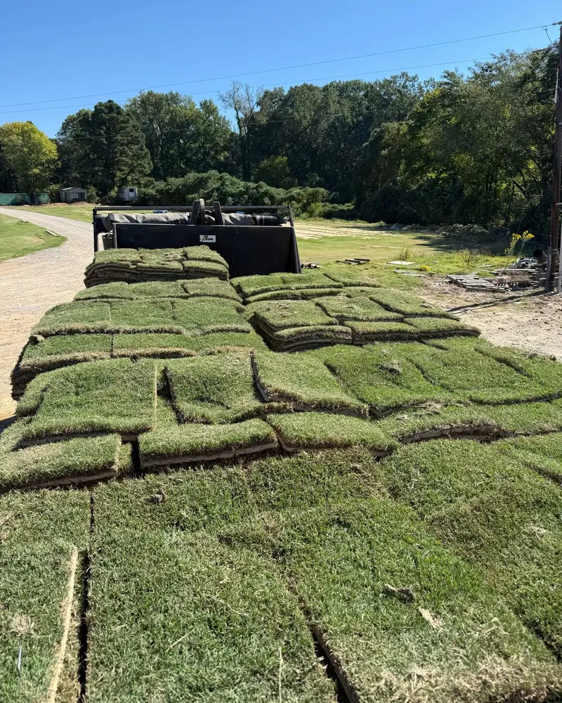 Fresh-cut Tifway 419 Bermuda sod pallets ready for delivery Paramount Sod Farm