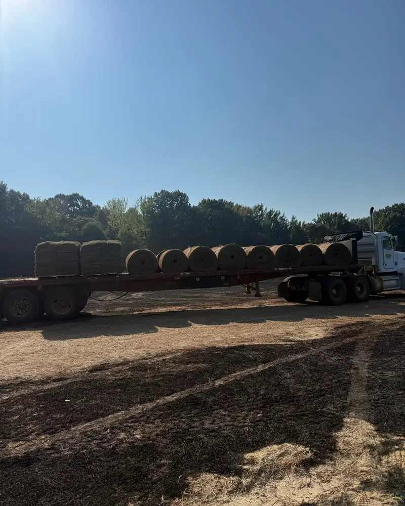 Paramount Sod Farm delivery load with Zeon Zoysia pallets and Tifway 419 Bermuda big rolls Hernando MS